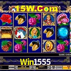 Win1555 Salvador - Statistics